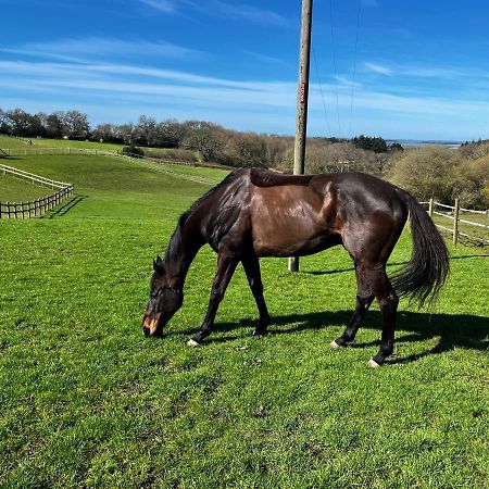 Byre - Farm Cottage On 9 Acre Equestrian Small Holding Salisbury Eksteriør bilde