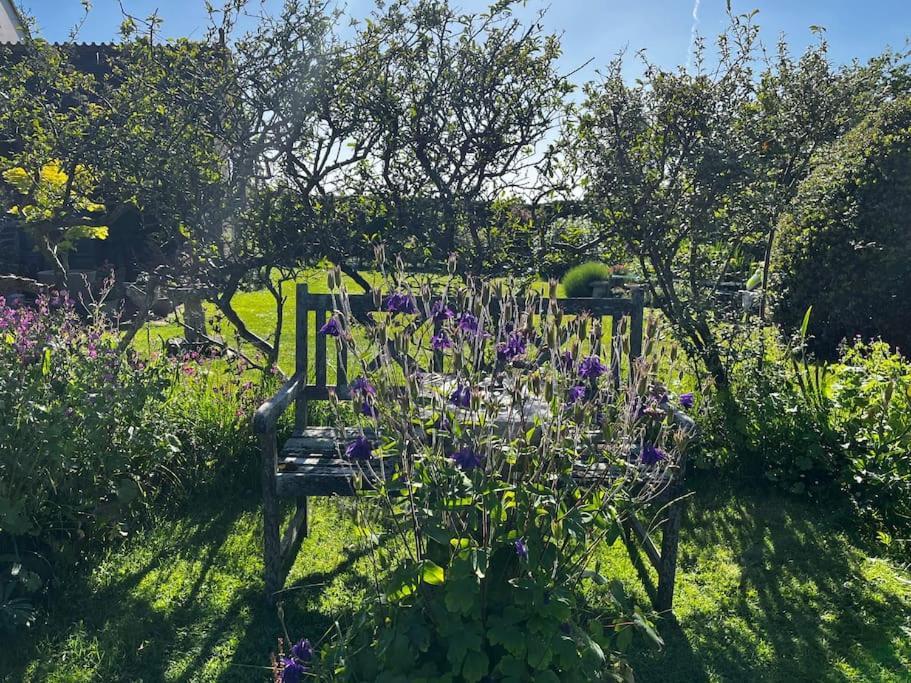 Byre - Farm Cottage On 9 Acre Equestrian Small Holding Salisbury Eksteriør bilde