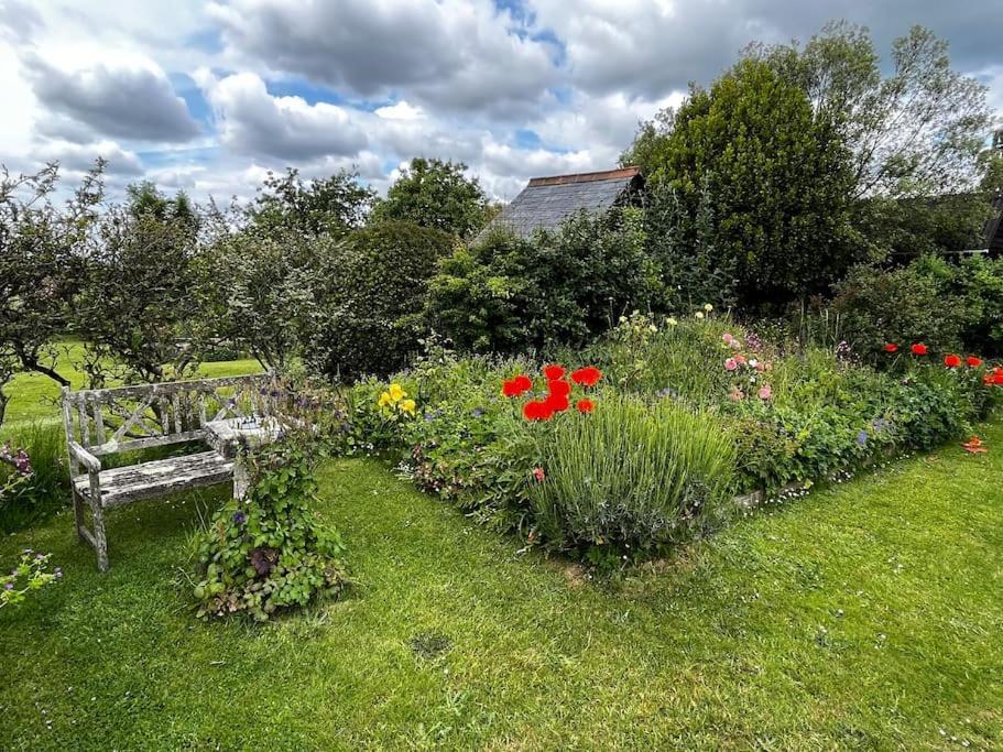 Byre - Farm Cottage On 9 Acre Equestrian Small Holding Salisbury Eksteriør bilde