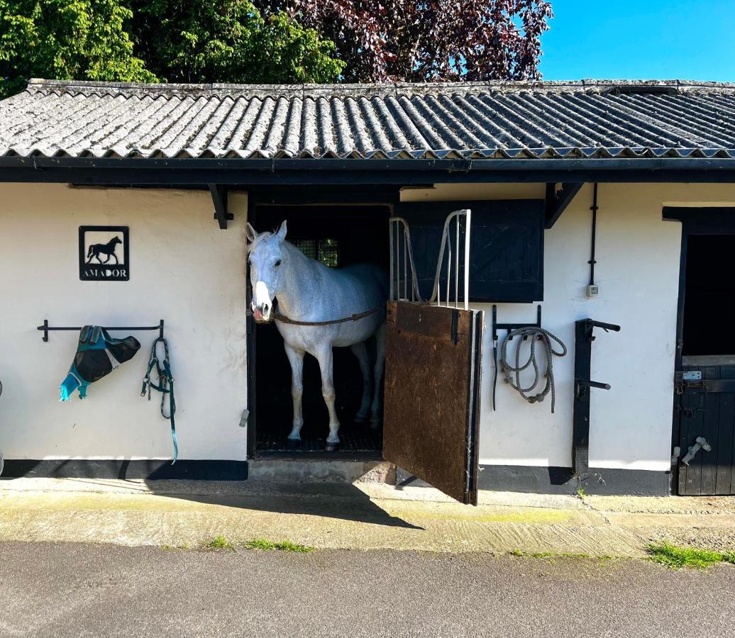 Byre - Farm Cottage On 9 Acre Equestrian Small Holding Salisbury Eksteriør bilde