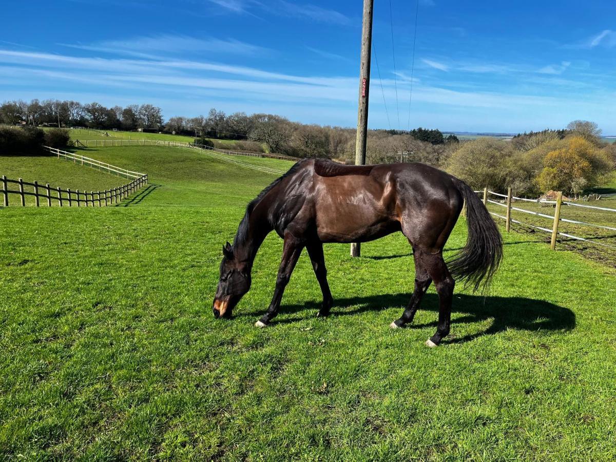 Byre - Farm Cottage On 9 Acre Equestrian Small Holding Salisbury Eksteriør bilde